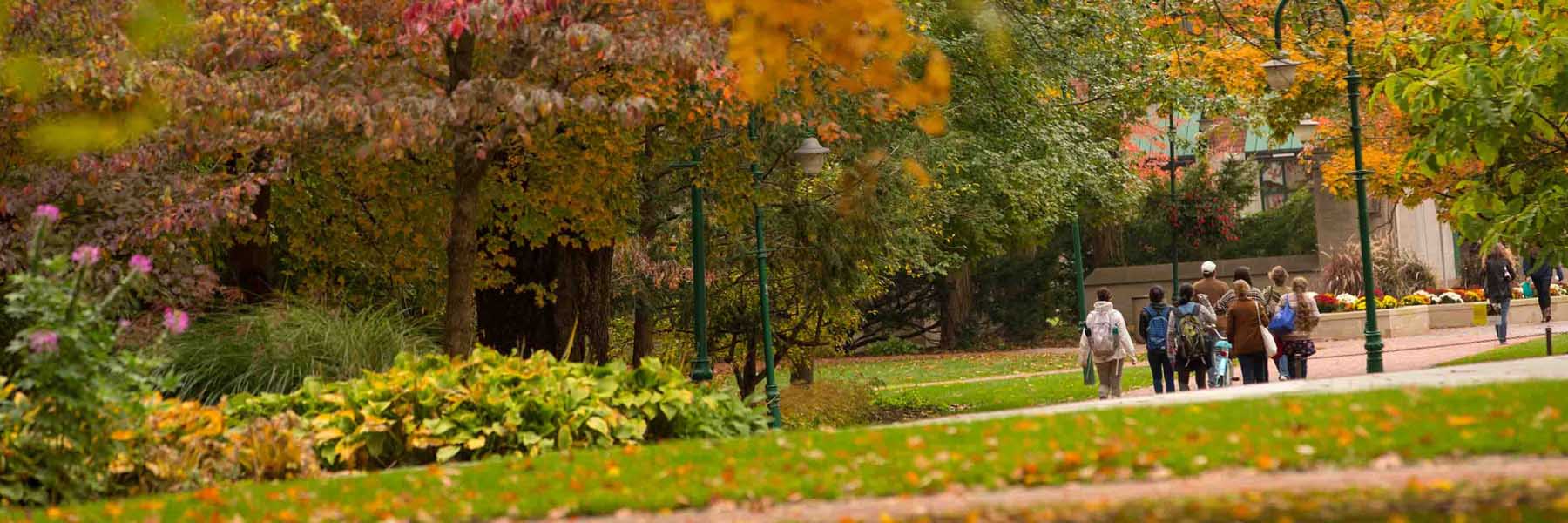 Students walking through campus in early fall